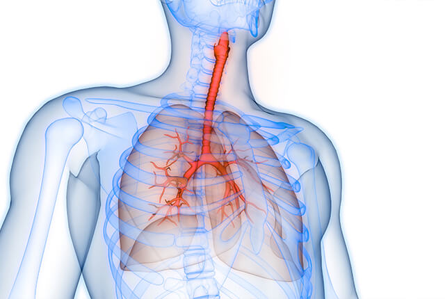 肺炎のイメージ画像